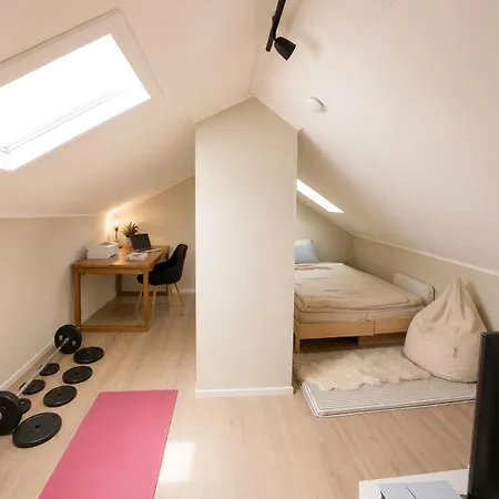 Bright And Spacious Loft In Apartamento Oslo
